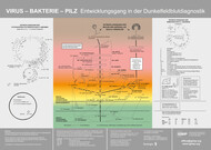 Plakat Dunkelfeld-Diagnostik - Virus - Bakterie - Pilz Plakat Dunkelfeld-Diagnostik - Virus - Bakterie - Pilz